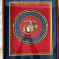 Militaria. TARGA della Marina USA