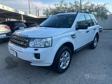 Land Rover Freelander 2.2 SD4 S.W. SE n1 5 posti *