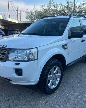 Land Rover Freelander 2.2 SD4 S.W. SE n1 5 posti *