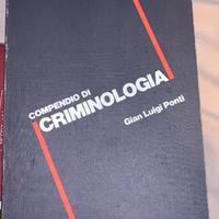 Libro codice della strada commentato