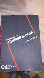 Libro codice della strada commentato