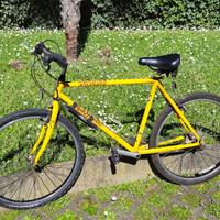 Mountain Bike Specialized Rock Hopper