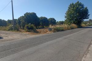 Terreno industriale commerciale 2500mq