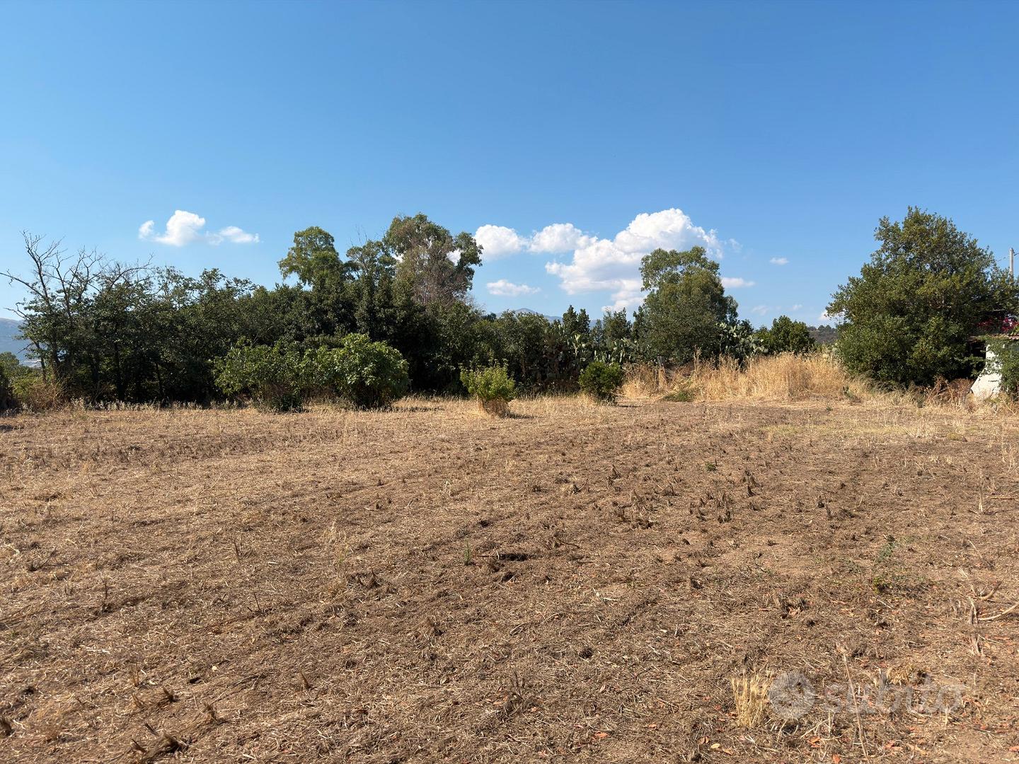 Guspini- Terreno Agricolo Località Is Mobinus - Altro