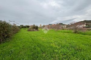 TER. AGRICOLO A MONTE COMPATRI