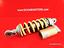 Immagine 7