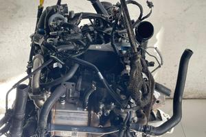DNA MOTORE COMPLETO VOLKSWAGEN Transporter T6 Seri