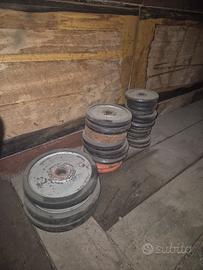 dischi palestra 
