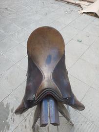 Sella theo sommer dressage