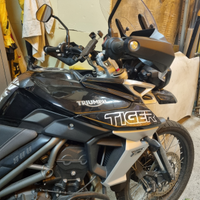 Trimph Tiger xcx 800 - 2019