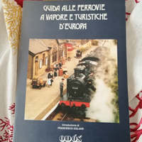 Guida alle ferrovie a vapore e turistiche d'Europa