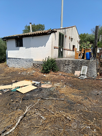 Terreno uliveto e fichidindia e altro