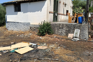 Terreno uliveto e fichidindia e altro