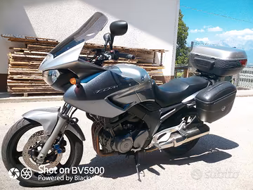 YAMAHA TDM  900 2006