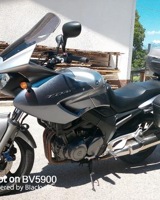 YAMAHA TDM  900 2006