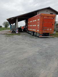 Struttura con terreno