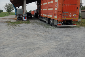 Struttura con terreno