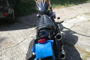 Harley Davidson Softail
