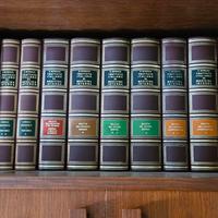 Trattato Italiano di Medicina Interna