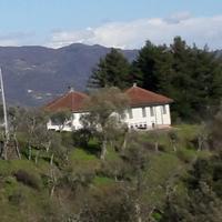 Villa semindipendente
