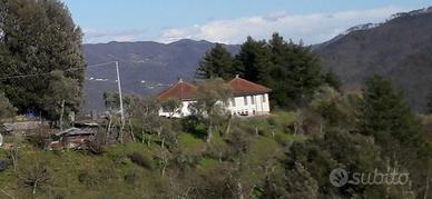 Villa semindipendente