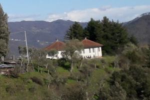 Villa semindipendente