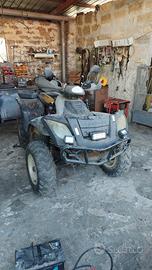 quad Linhay Muddy 300