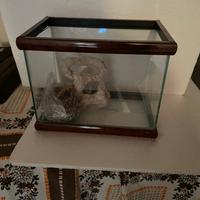 Piccolo acquario
