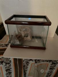 Piccolo acquario