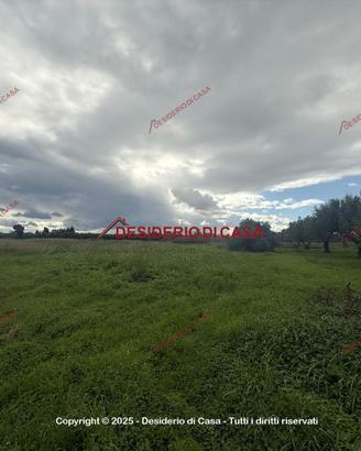 Terreno, Misiliscemi.