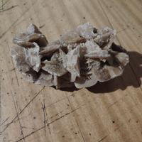 Pietra da collezione, rosa del deserto