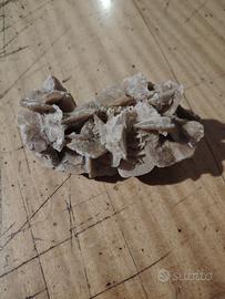 Pietra da collezione, rosa del deserto