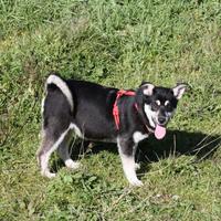 Matilde vuole una casa