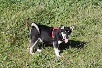 Matilde vuole una casa