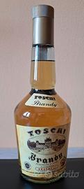 Bottiglia Vintage Toschi Brandy 700 ml – Vol.40%