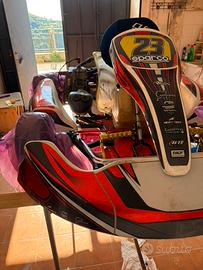 go kart  100cc