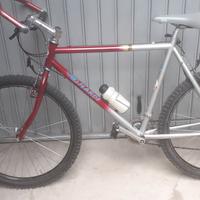 bicicletta