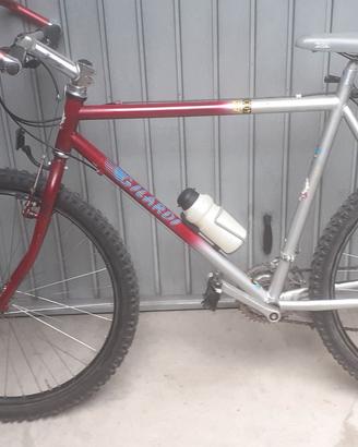 bicicletta