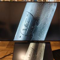 monitor professionale pivot 2k Dell U2719D