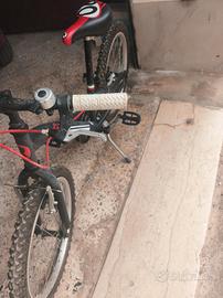 Bicicletta per ragazzo 