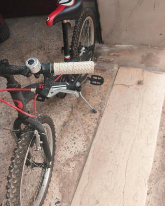 Bicicletta per ragazzo 
