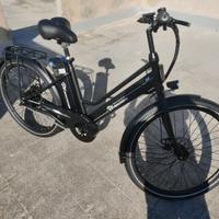 Bici elettrica 250w