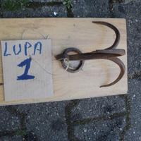 Lupa depoca ferro a tre punte per recupero secchi