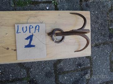 Lupa depoca ferro a tre punte per recupero secchi