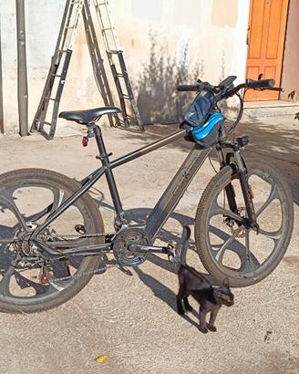 Bicicletta Celektron 