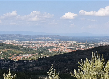Terreno con Annesso Agricolo