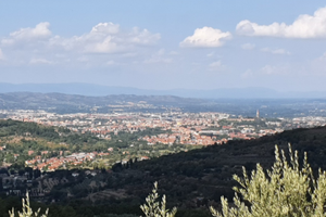 Terreno con Annesso Agricolo