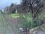 Immagine 5
