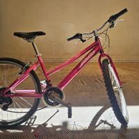 Bicicletta