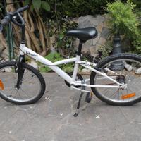 Bici Unisex 20 pollici 